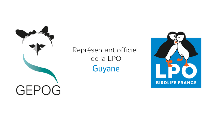 Logo GEPOG et LPO